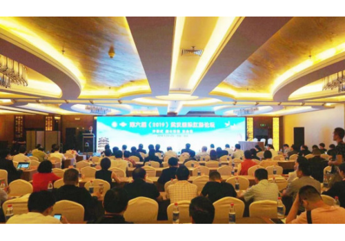 蒂诗丽公司受邀出席第六届（2019）武汉国际肛肠论坛