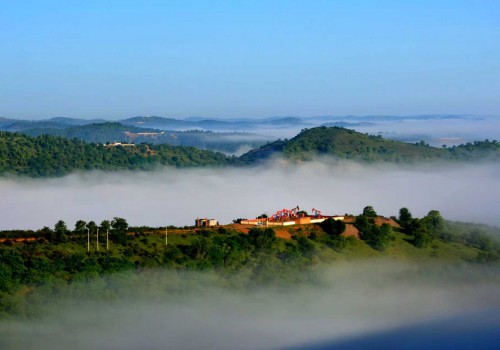 深山有“企”护青绿 ——延长石油志丹采油厂走出高质量生态保护的新路径 霍世林